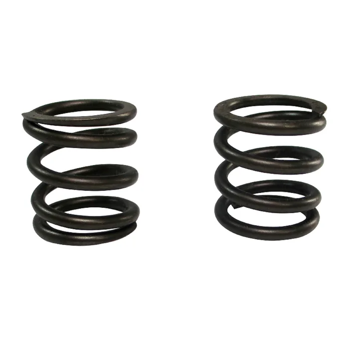 (2) Pack of Stock Animal Valve Springs