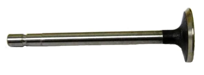 555552 B&S Exhaust Valve, Animal