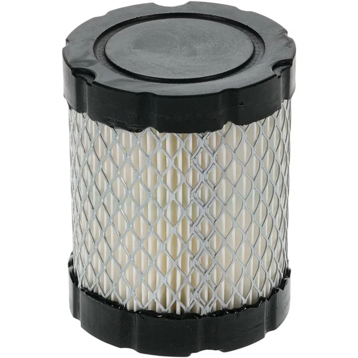Air Filter / Fits Briggs & Stratton 591583