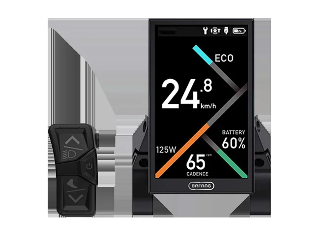 C010 Display