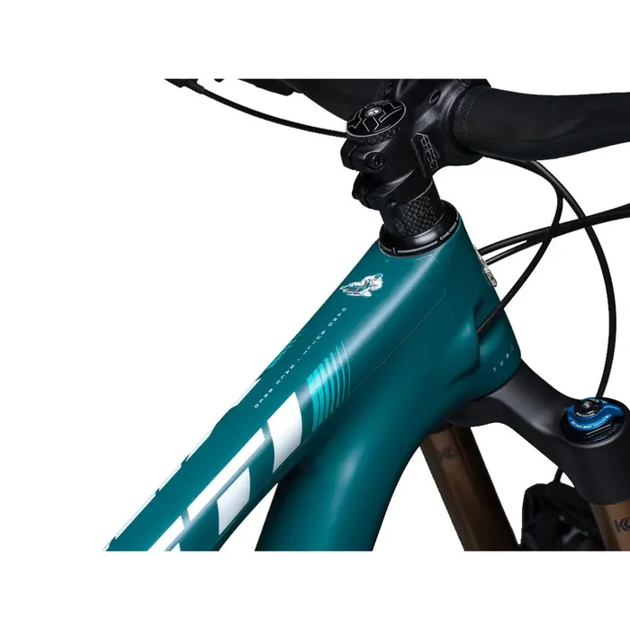 DYEDBRO Frame Protection, Matte Clear Black Logo NLS