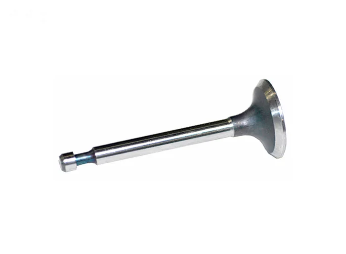 Exhaust Valve Fits Kohler