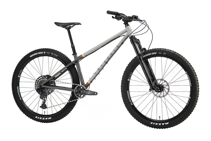 Fairdale Elevator 29″ Hardtail (2025)