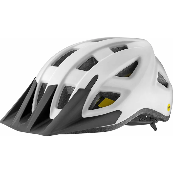 Giant Path Bike Helmet