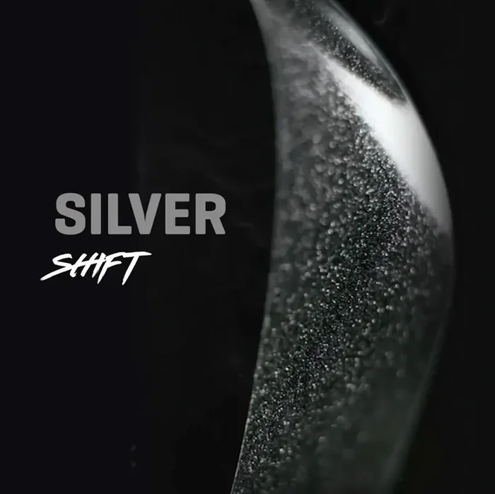 Ground Keeper Fork Keeper, Silver Shift, Gloss NLS