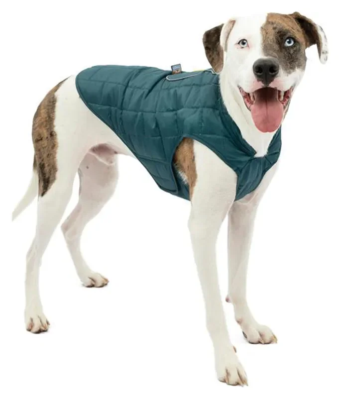 Kurgo Loft Jacket in Blue/Sea – Size XL Stay Warm and Stylish on Your Outdoor Adventures