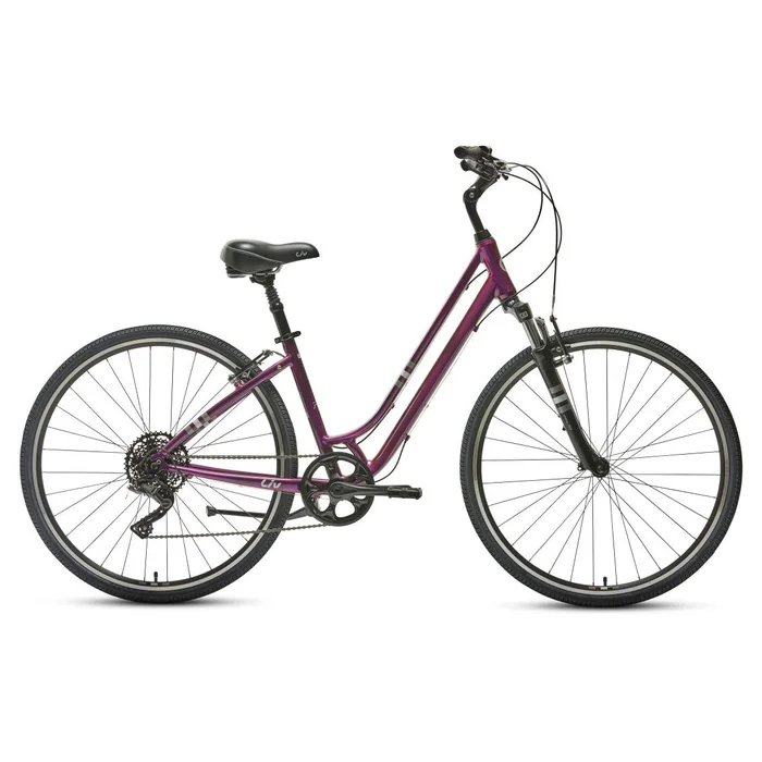 Liv Flourish FS 1 Comfort Bike (2022)