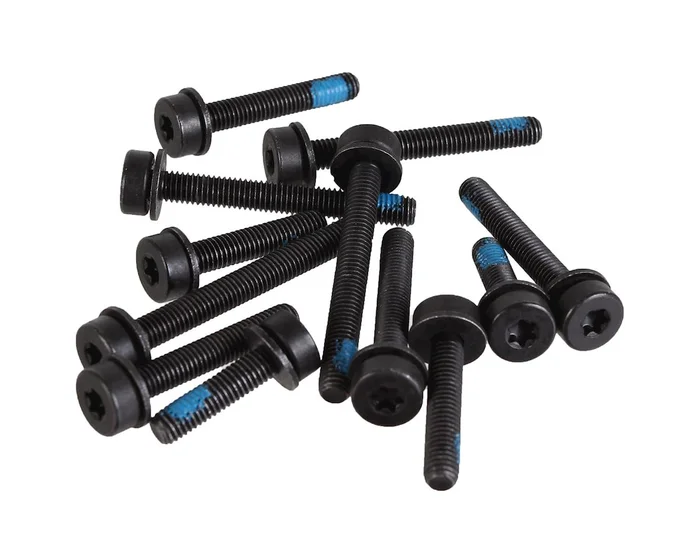 Magura Flat Mount Screw Set (Rear) (Pack of 12) (T25)