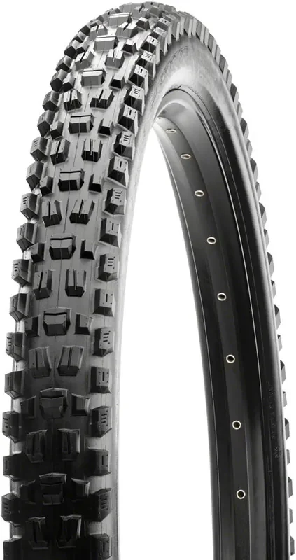 Maxxis Assegai Tire 29 X 2.5 60Tpi Tubeless Folding 3C Maxx Terra Exo Wide Black TB00163000