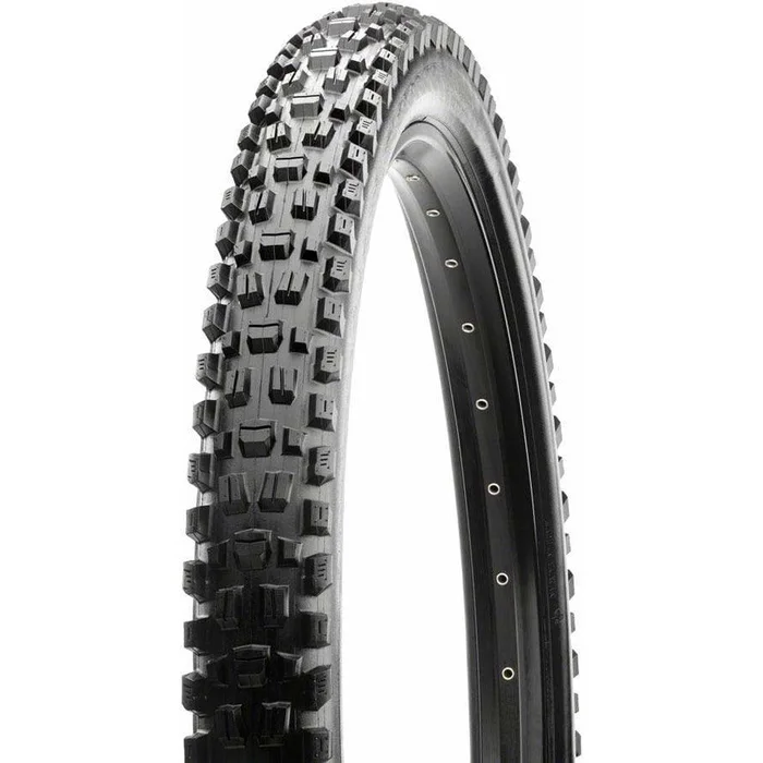 Maxxis Assegai, Tubeless Ready Mountain Bike Tire 29 x 2.5″