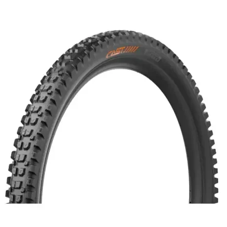 Pirelli Cast by Pirelli Protagonist , HardWall, 29×2.4, Evo DH 4615800