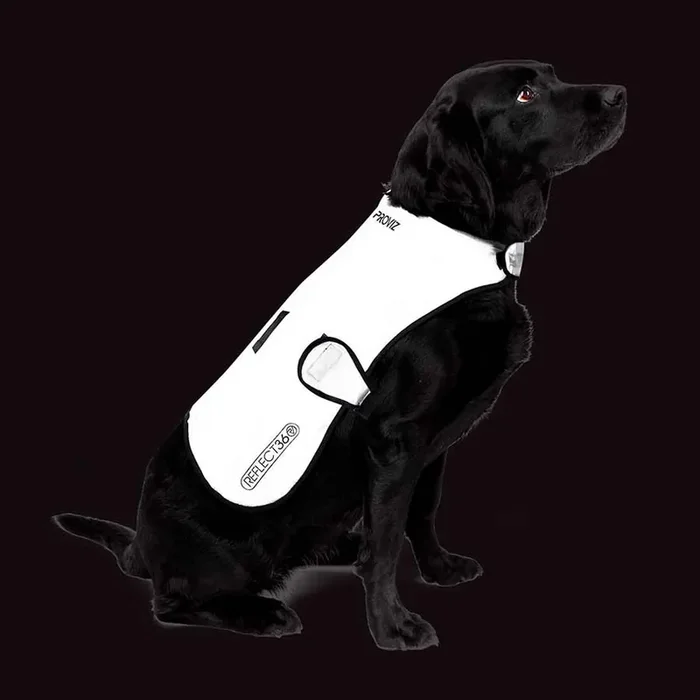 Proviz Reflective Waterproof Dog Cover with CE EN 20471 Certification, Adjustable Fit & Harness Hole – Safety Gear for Pets in Sizes S-XL