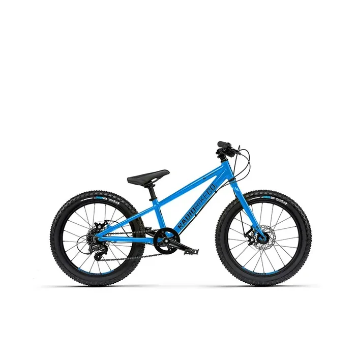 Radio Zuma Zuma 20 Kids Bicycle, 20‘‘, Cyan Blue, 17.3