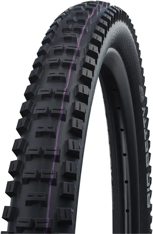 Schwalbe Big Betty Tire Tubeless Folding Evo Super DH Addix Ultra Soft 29×2.4 11654163