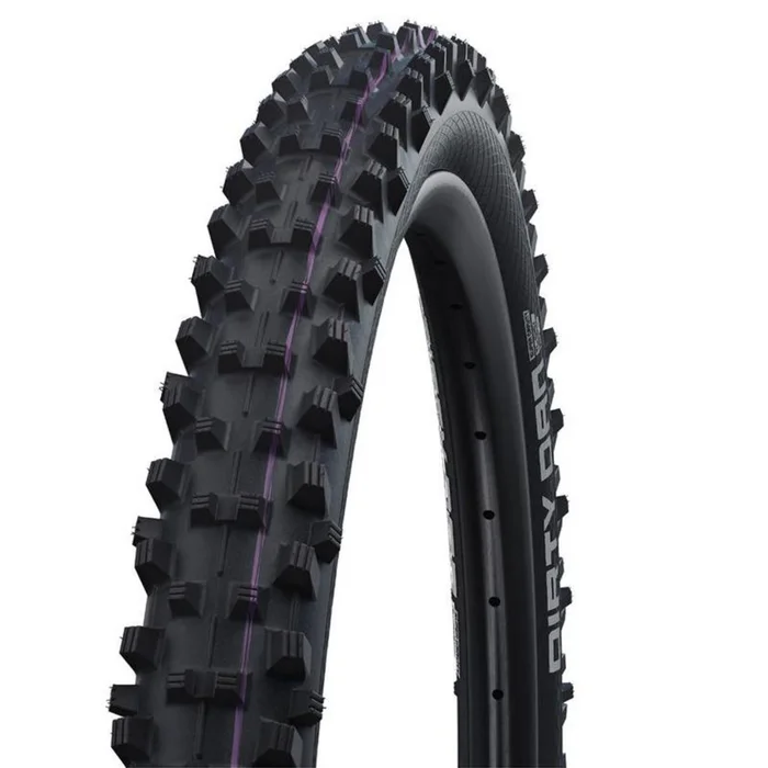Schwalbe Dirty Dan