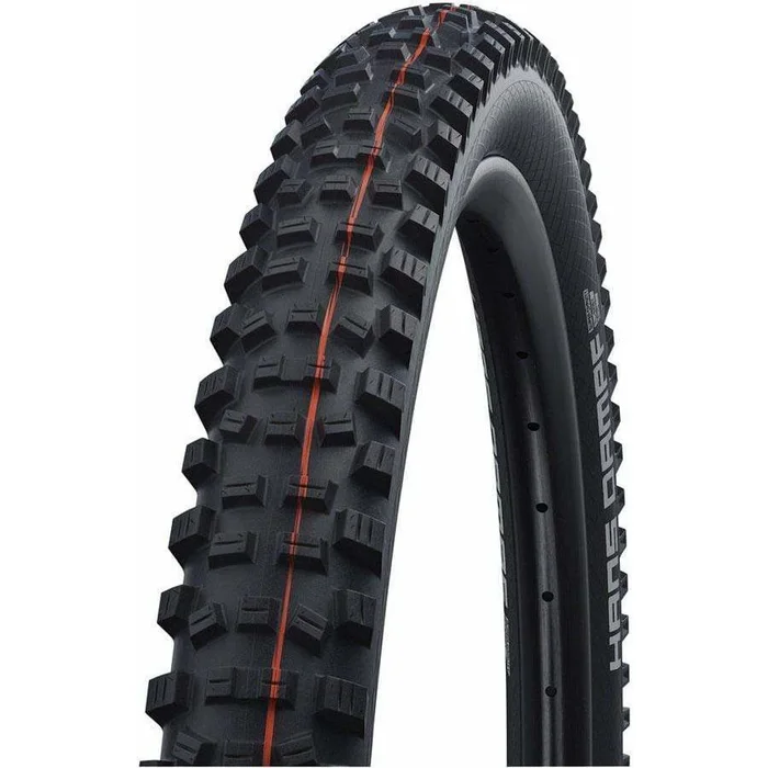 Schwalbe Hans Dampf Tire – 26 x 2.35 Evolution Super Gravity Addix Soft