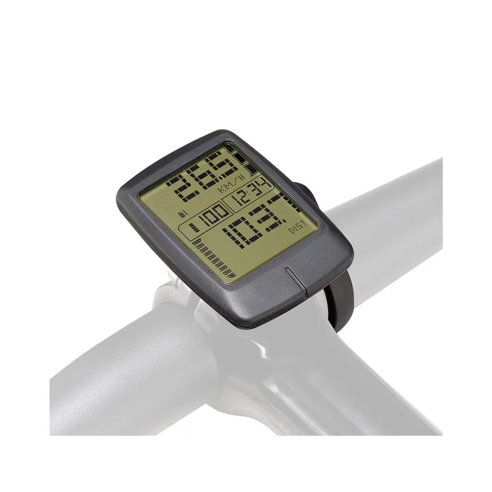 Specialized Turbo Connect Display (TCD)