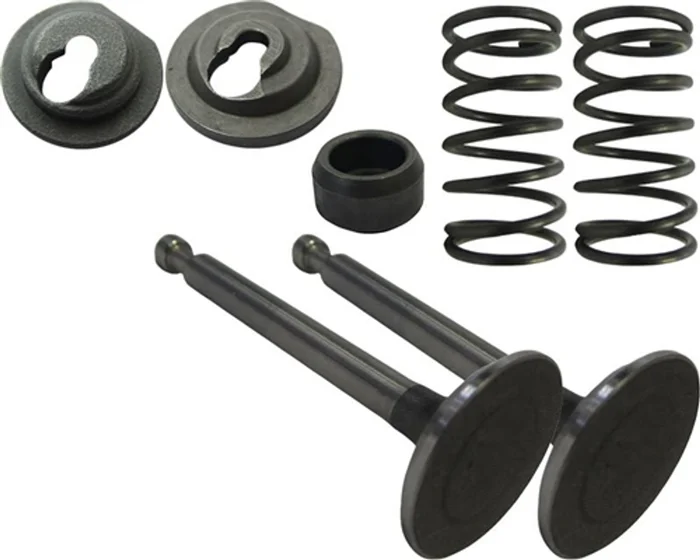Valve Set, 6.5 BSP “Clone”