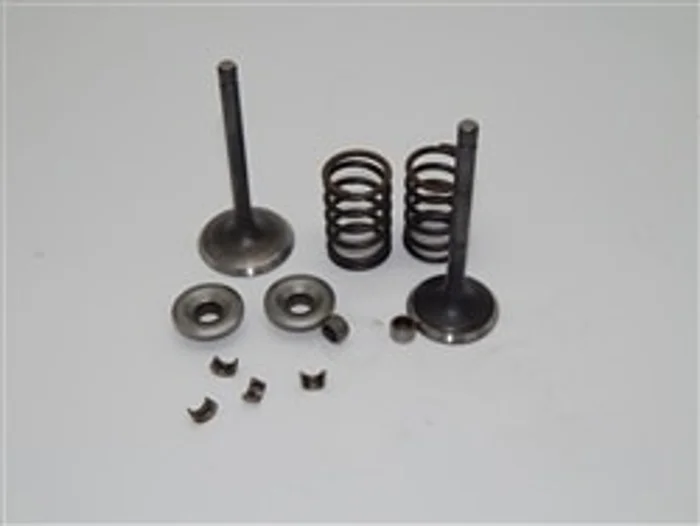 Valve Set, Predator 420, 38/34mm Valves