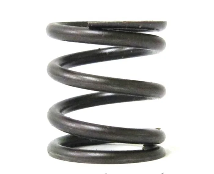 Valve Spring, Stock Appearing, Animal