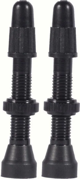 WTB TCS AL 34mm Presta Valve