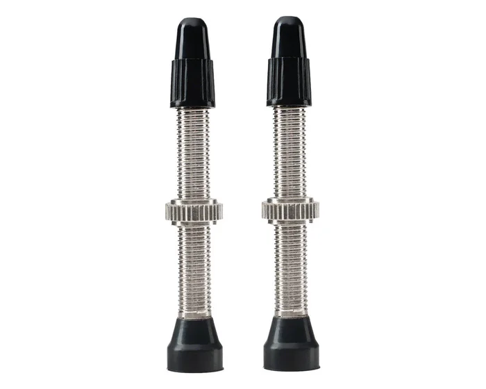 WTB TCS Standard Tubeless Valves (Silver) (Pair) (34mm)